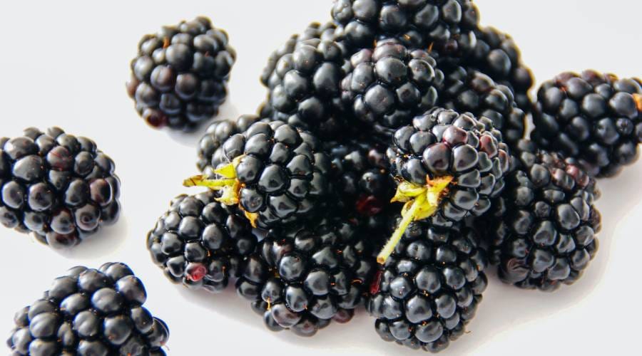 Taierea murului primavara 2