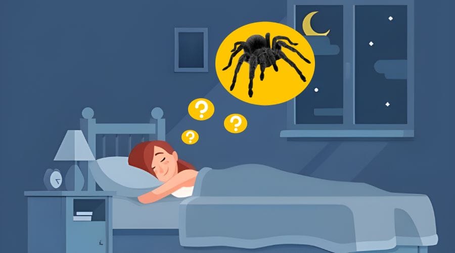 Ce inseamna cand visezi paianjeni Ce inseamna cand visezi paianjeni