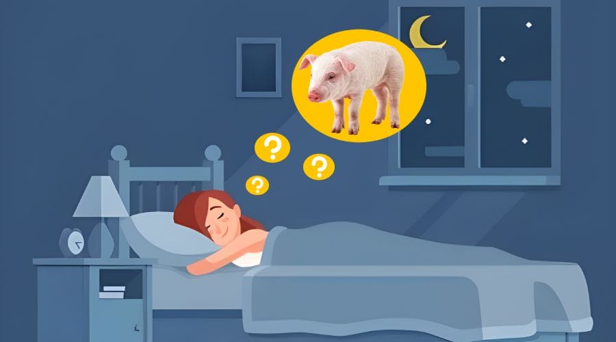 Ce inseamna cand visezi porci Ce inseamna cand visezi porci