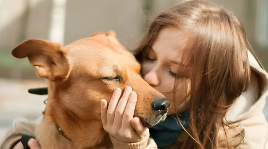 Ce simt cainii cand ii pupi