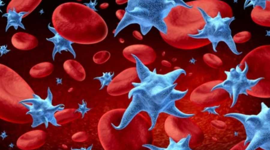 Ce sunt trombocitele Ce sunt trombocitele