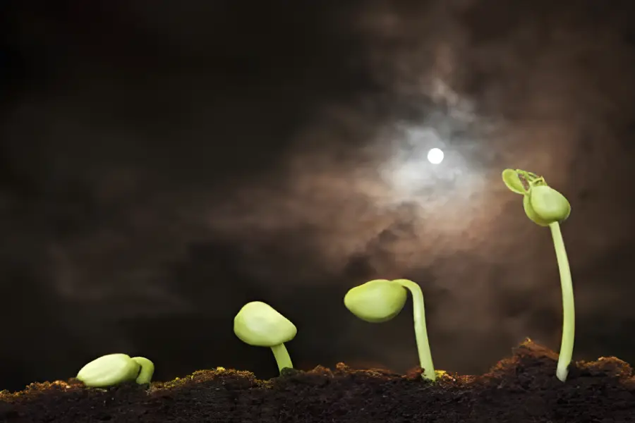 ce inseamna luna in crestere2